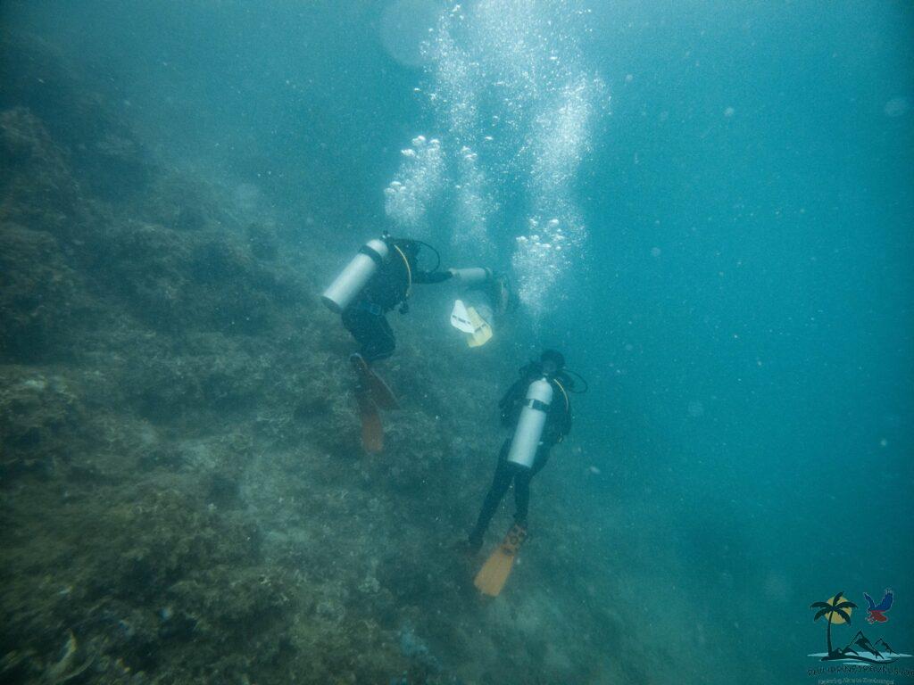 Two people scuba diving