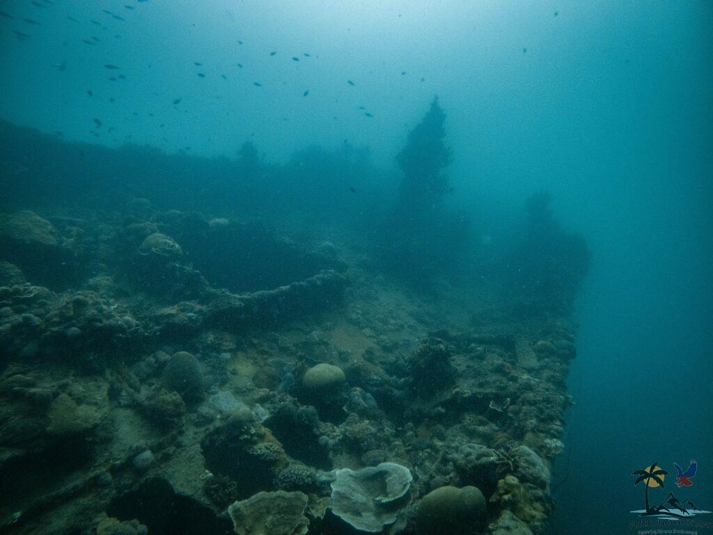 Side view of the east tangat shipwreck