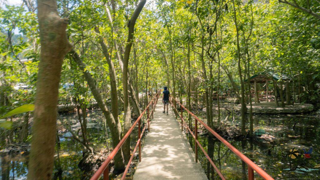 Walking through El nIdo