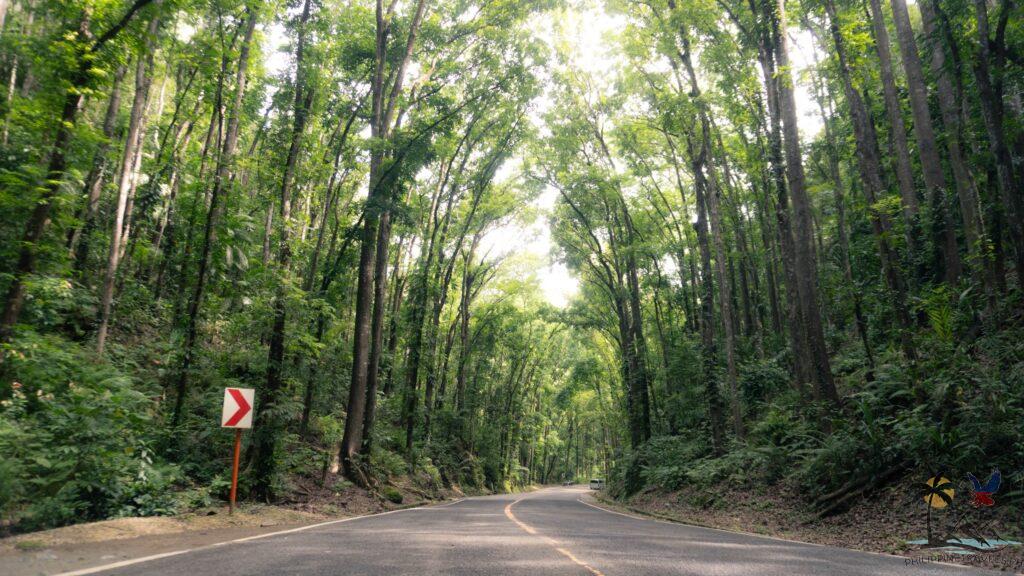 Bilar manmade forest road