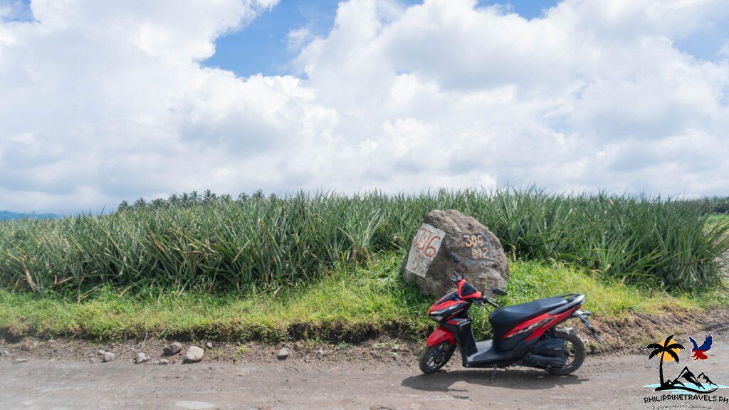 Motorbike in DOLE plantation