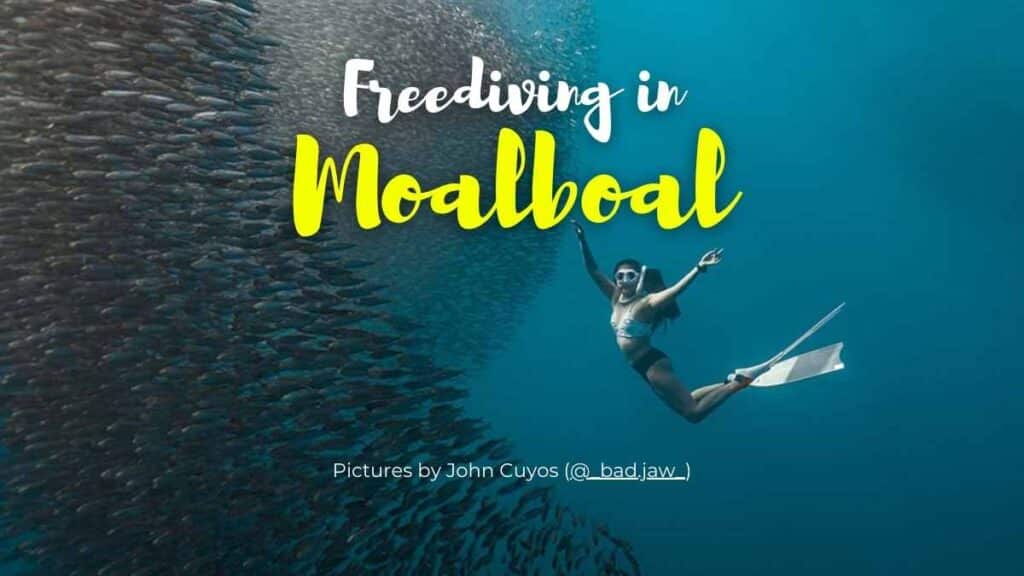 Freediving in Moalboal cover photo