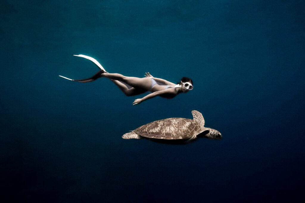 Freediving with turtle