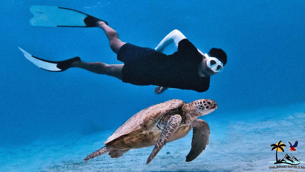 Man and turtle