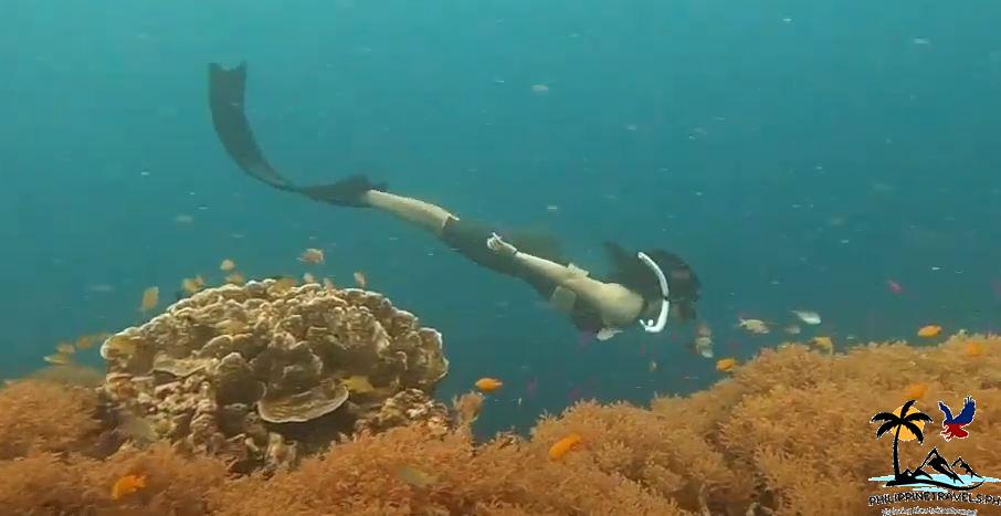 Nikki freediving in Napaling