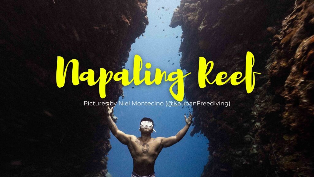 Napaling Reef Cover