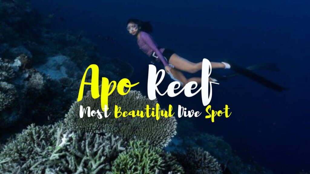 Apo Reef